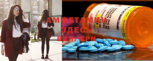 шишки Верхний Тагил