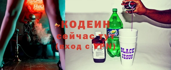 шишки Верхний Тагил