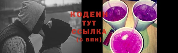 шишки Верхний Тагил