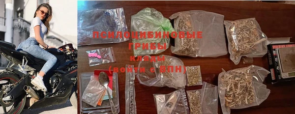 крисы Верея