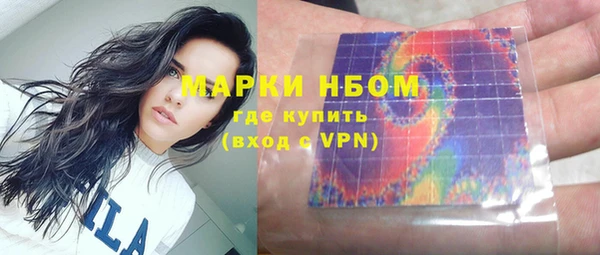 крисы Верея
