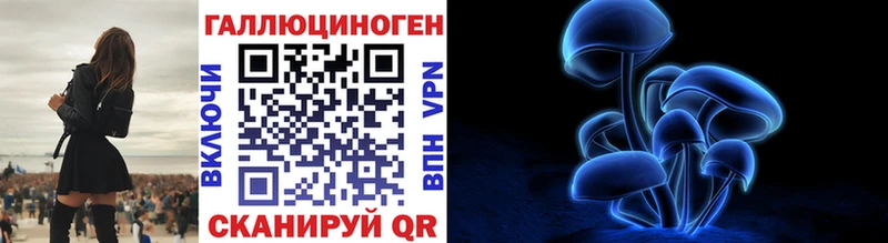 Купить  Буйнакск  Псилоцибиновые грибы MAGIC MUSHROOMS 