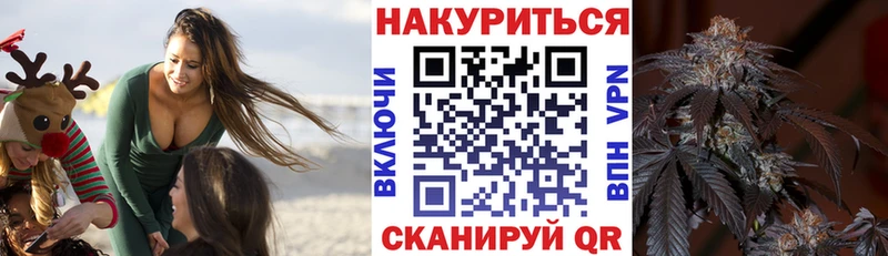 Марихуана сатива Купить где Буйнакск